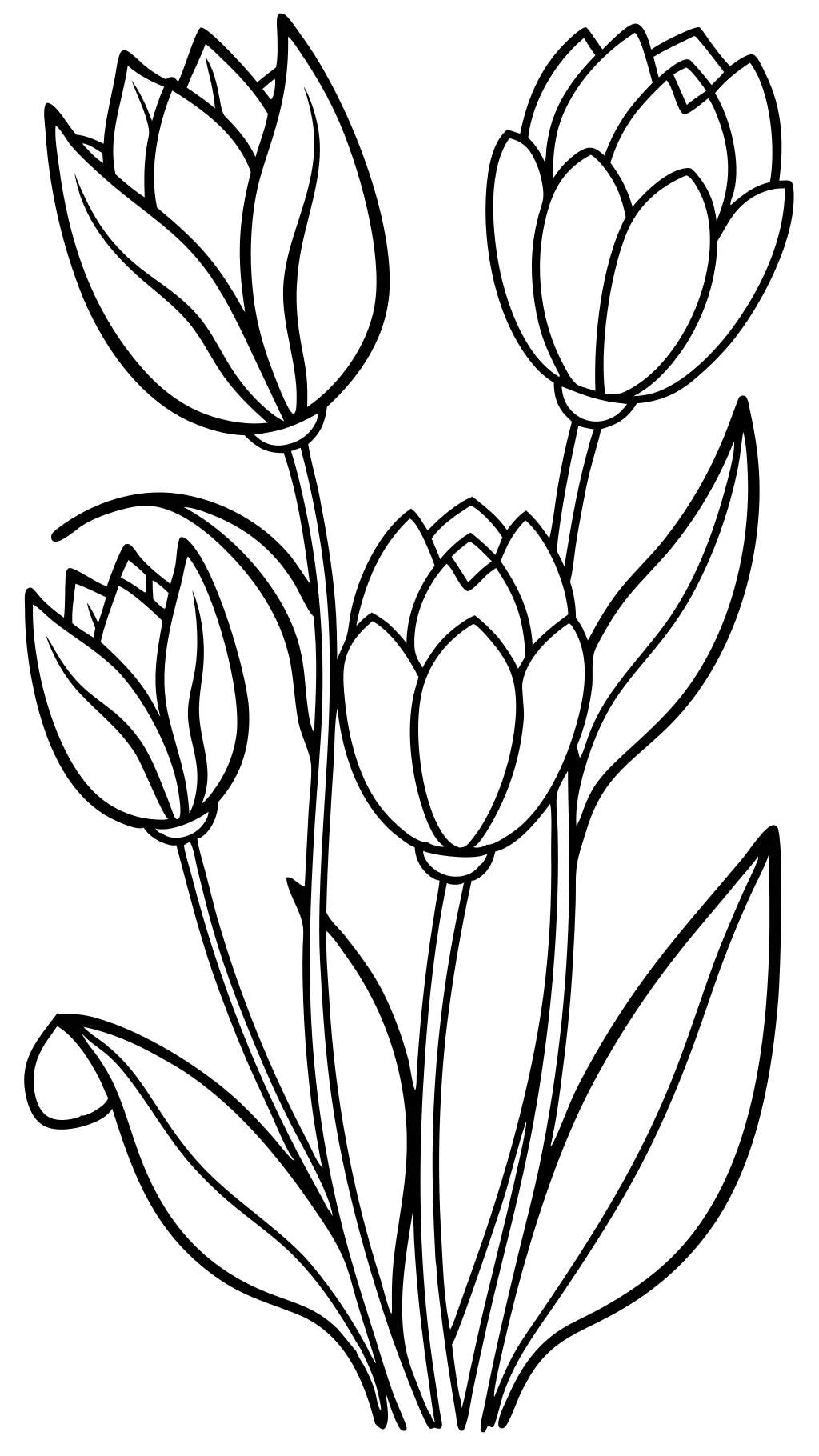 Tulip para colorear